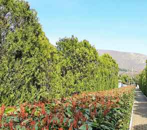 Пансионат «Кавказ», фото 28