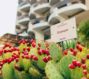 Санаторий «Демерджи», фото 66