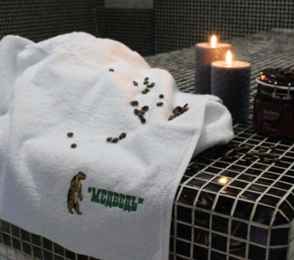 «Отель Медведь Resort» Спортивно Оздоровительный Комплекс, фото 12