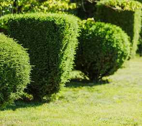 Санаторий «Аквамарин», фото 54