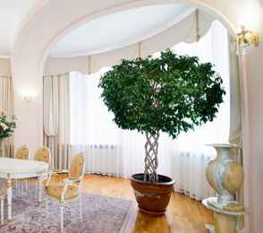 Санаторий «Долина Нарзанов Кисловодск», фото 32