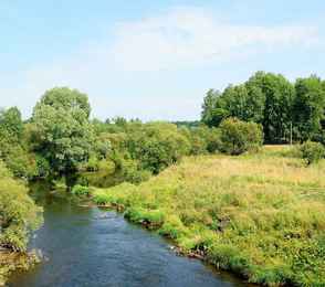 Санаторий «Сосновый бор», фото 8
