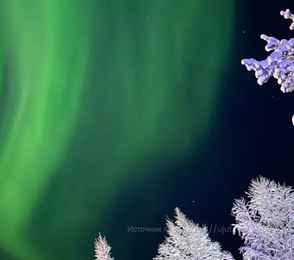 База отдыха «Уют», фото 5