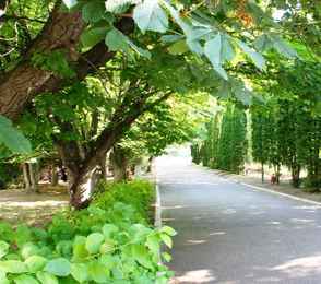 Санаторий-профилакторий «ЕЗСК сервис», фото 20