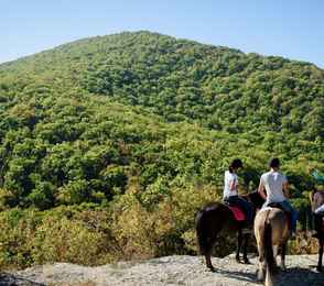 Эко-отель «Лоза Хутор All inclusive & Spa», фото 39
