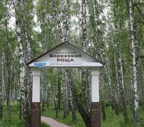 Санаторий «Березовая роща» Ялуторовск, фото 28