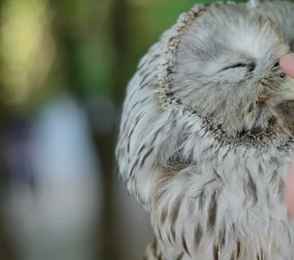 Загородный комплекс «Юрьевское подворье», фото 56