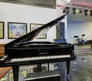 Отель «Астро Плаза», фото 18