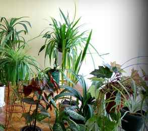 Санаторий-профилакторий «Волхов», фото 2