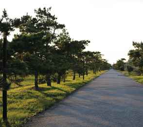 Санаторий «Эволюция», фото 55