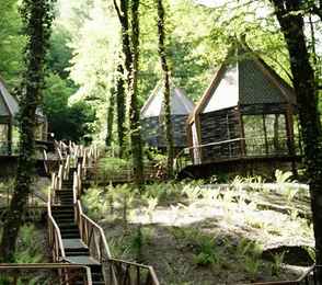 Эко-отель River Side Resort & Spa, фото 23