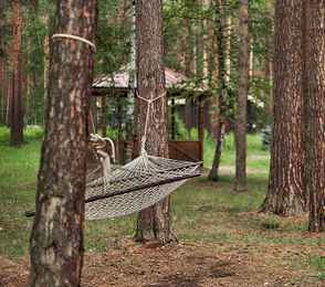 Курорт «АМАКС ЭкоПарк», фото 42