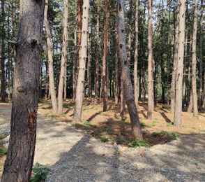 МИРРОС Montis MediSpa Отель Пятигорск 5*, фото 5527