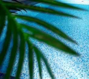 Отель «Чеботаревъ», фото 5