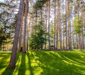 Санаторий «Тюрьма для жира», фото 44