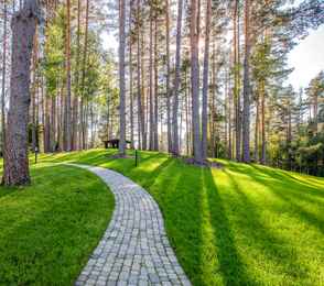 Санаторий «Тюрьма для жира», фото 46