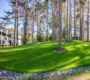 Санаторий «Тюрьма для жира», фото 47