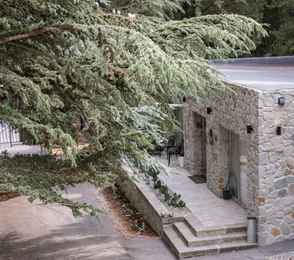 Санаторно-курортный комплекс «Лес», фото 22