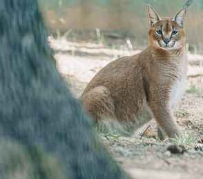 Отель «Домъ купчихи Глинкиной», фото 23