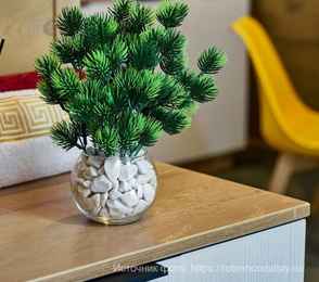 База отдыха «Робин Гуд», фото 26