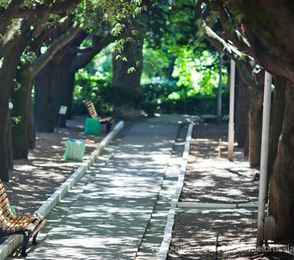 Санаторий «Белоруссия», фото 31