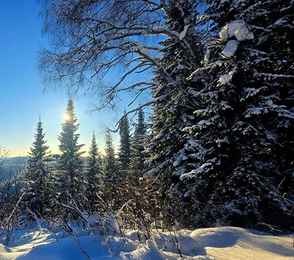 Санаторий «Ромашка», фото 22