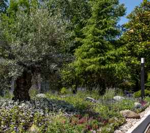 Пансионат с лечением «Сокол», фото 12