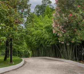Пансионат с лечением «Сокол», фото 13