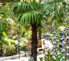 Пансионат с лечением «Сокол», фото 14