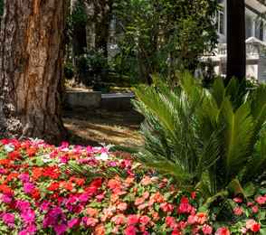 Пансионат с лечением «Сокол», фото 18