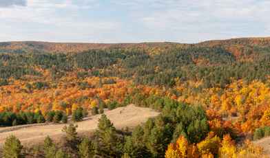 Санатории Саратовской области с лечением в 2023 году