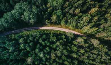 Санатории в лесу: топ объектов 2023 года с описанием преимуществ