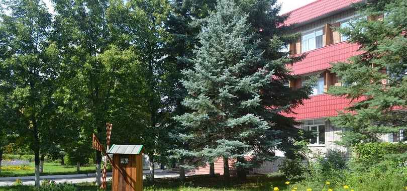 Санаторий «Надежда»