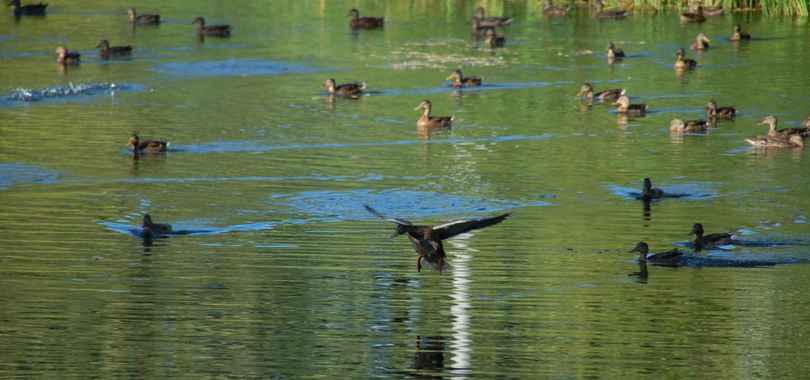 Санаторий «Сосны», фото 19