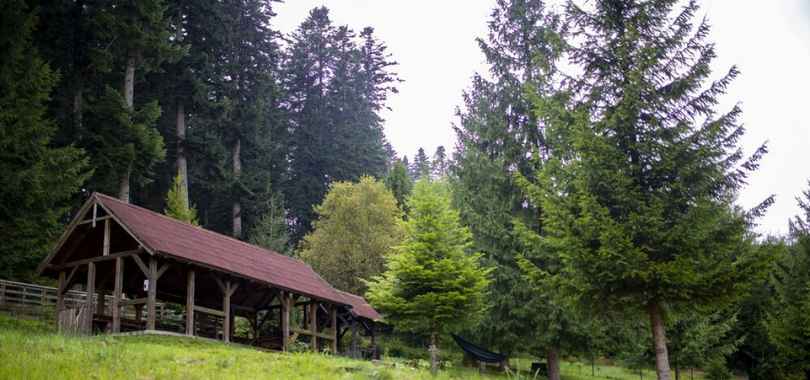 Hotel Floare de Colt Bucovina