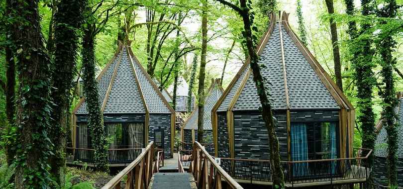 Эко-отель River Side Resort & Spa