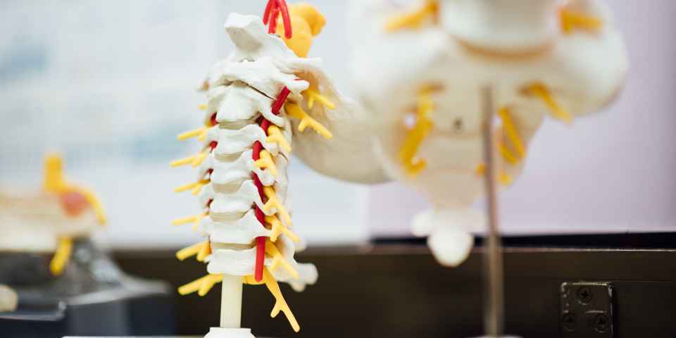 Подводное вытяжение позвоночника в санаториях