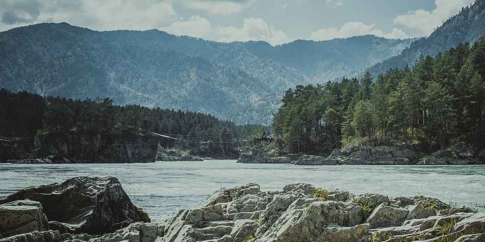 Отдых на Алтае