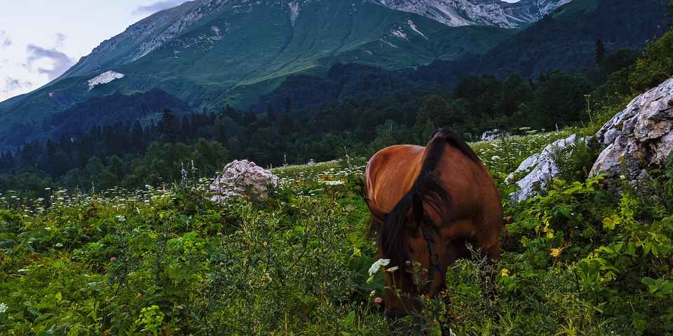 Туры в Адыгею