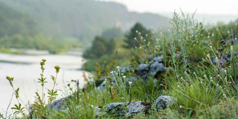 Отдых на Урале недорого