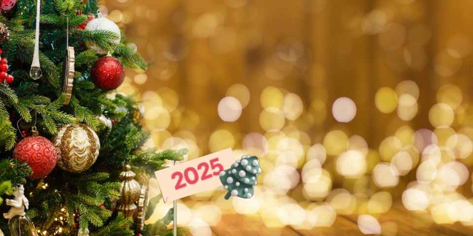 Новогодние каникулы в Беларуси